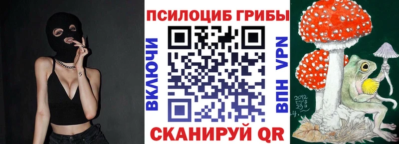 Галлюциногенные грибы Psilocybine cubensis  Перевоз 